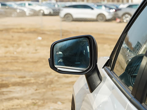 2026�� 2.0L ����������