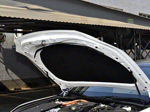 2024�� 2.5L �����