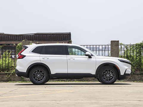 2026�� ȫ��30����ҫ�� 1.5T ��������5����