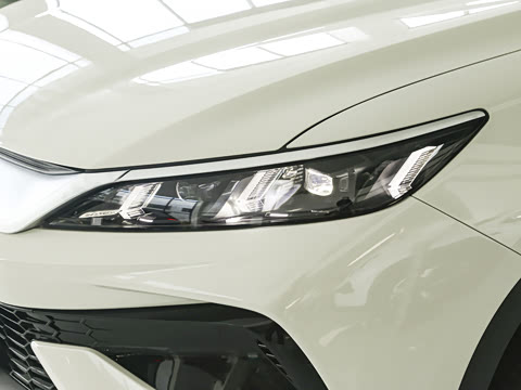 2026�� �ɳ۰� DM-i 301KM��Խ��