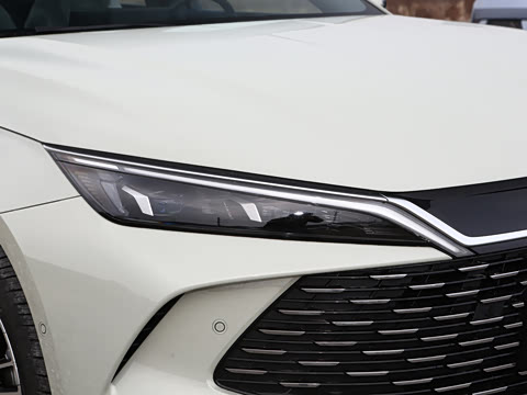 2026�� DM-i 210KM������