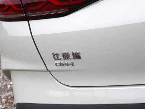 2026�� DM-i 210KM������