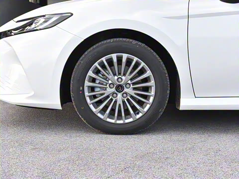 2026�� ˫�� 2.0HGVP ������