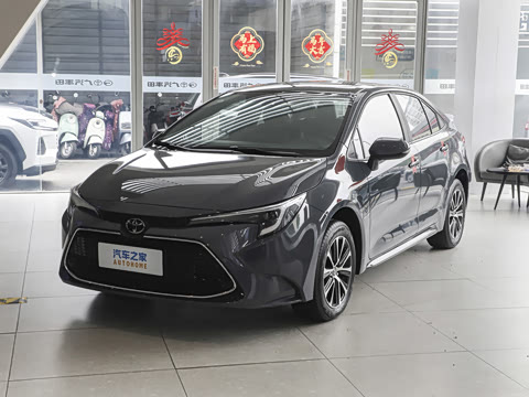 2026�� ����L 185T ������