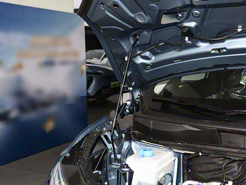 2026�� ������������