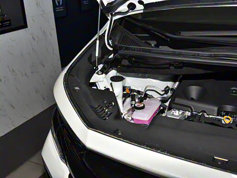 2025�� �ʹ� ˫�� 2.5L ī���