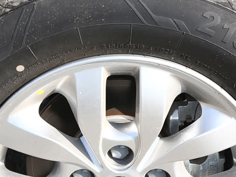 2026�� 2.0L CNG�ֶ�������