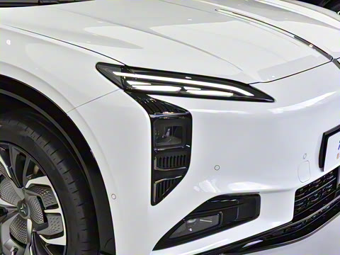 2025�� 565�����ȷ��