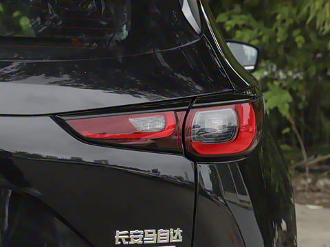 2025�� 2.0L �Զ���������Pro