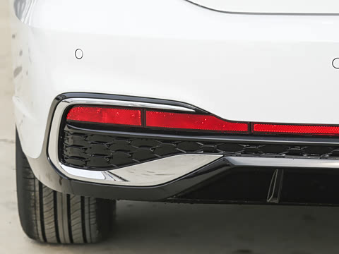 2026�� 300TSI DSG�ǿ����Ȱ�