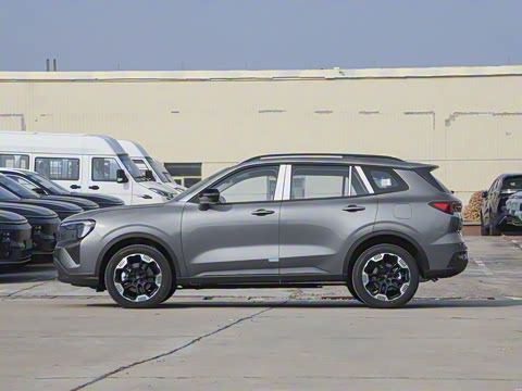 2025�� ������