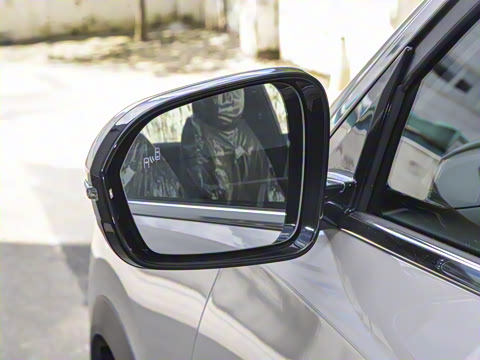 2025�� 290TGDI DCT���ư�