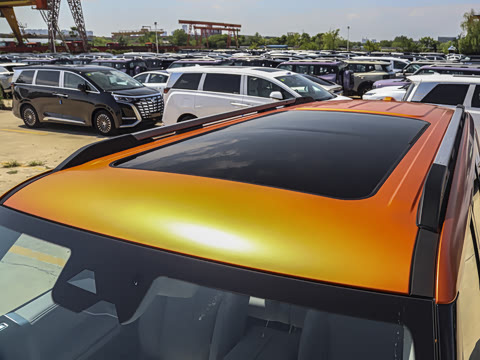 2025�� ̽Ұ�� 5��