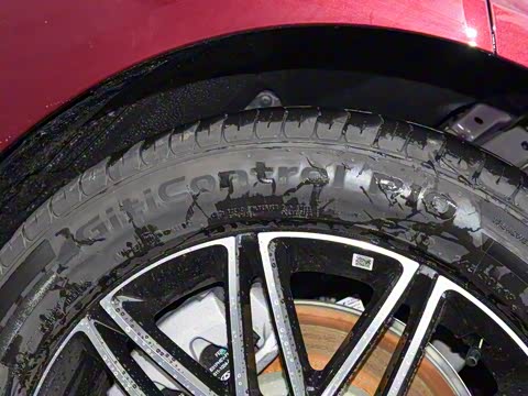 2025�� 260��������������