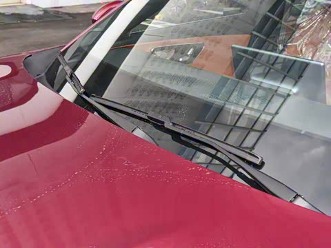 2025�� 260��������������