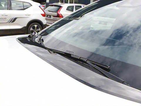 2026�� ������������Plus