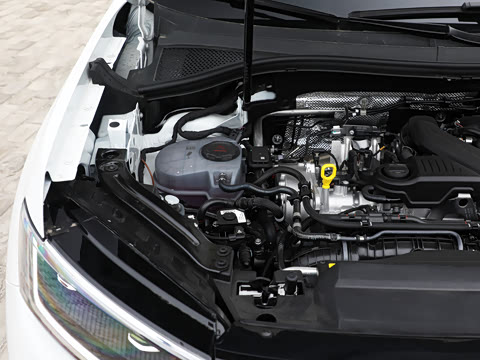 2026�� 300TSI ����ɽ�Ӱ�