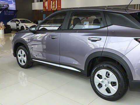 2026�� 1.5L �ֶ�������