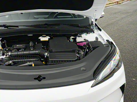 2026�� DM-i 128KM������