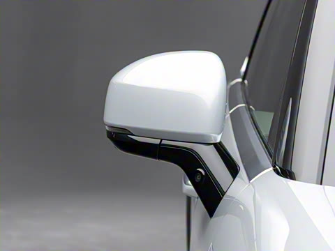 2025�� Max�� 55kWh