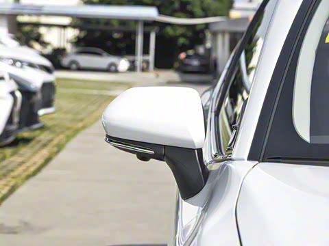 2026�� ˫�� 2.5HG ����