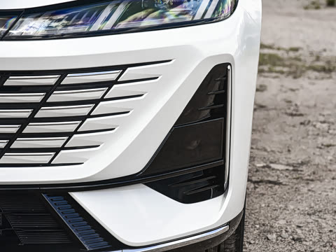2026�� 1.5L �������� ������