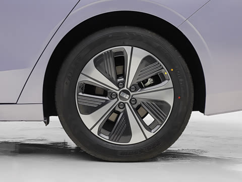 2026�� �����