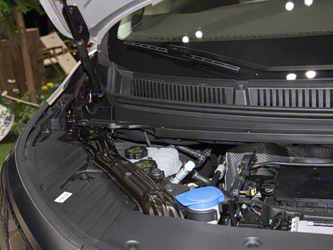 2025�� DM-i ����������