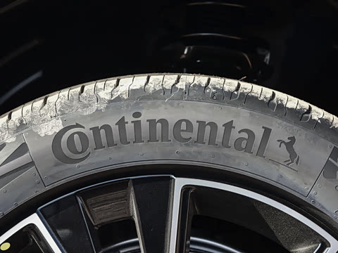 2026�� Max������