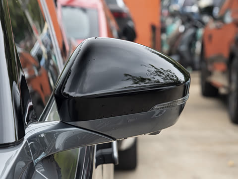 2026�� Max ������