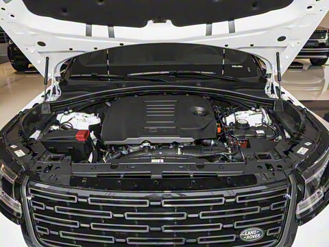 2026�� 250PS Dynamic SE