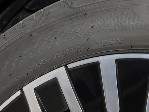 2026�� Max ������