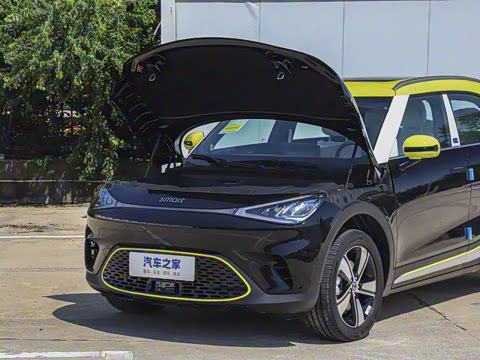 2026�� �鶯��������