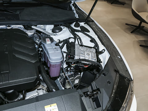 2025�� 45 TFSI quattro ������