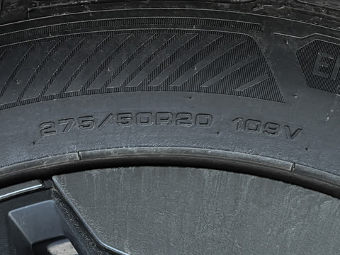 2026�� Max+
