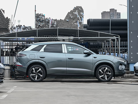 2025�� DM-i 205�캽Pro��