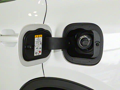 2024�� EcoBoost 245 ����ҫ����