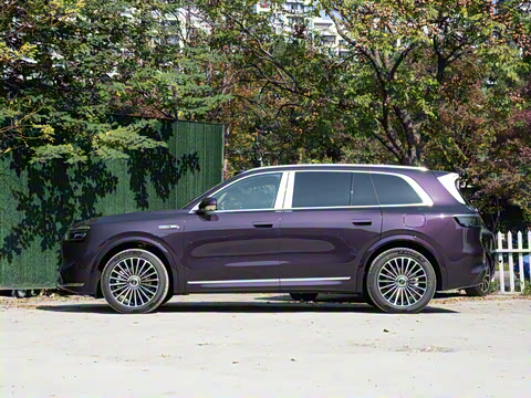 2025�� ���� Max+ ������������ 