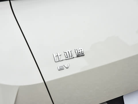 2026�� 305km ������