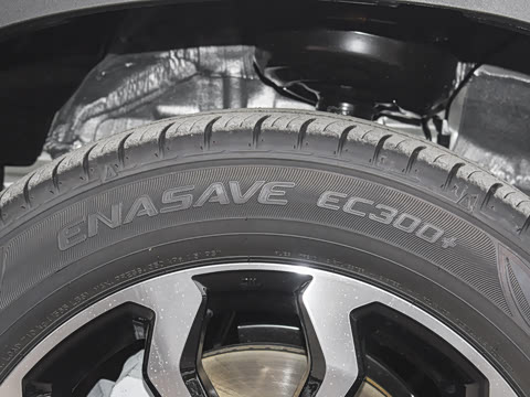 2026�� 2.0L ���ܵ��˫�� ������