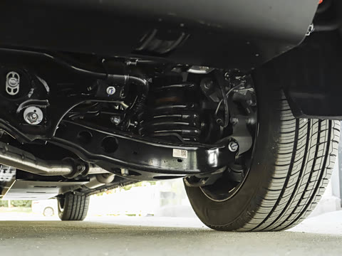 2026�� CNG ������ 7��