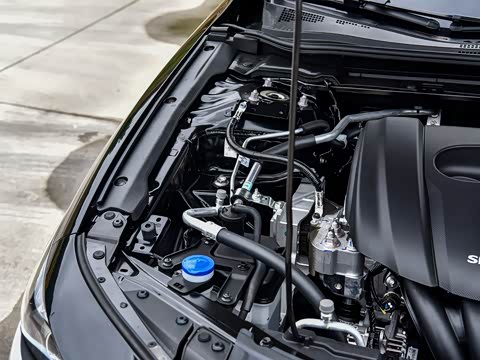 2025�� 1.5L �ֶ�������