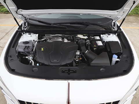 2026�� 2.0T �Զ��쳩Pro��