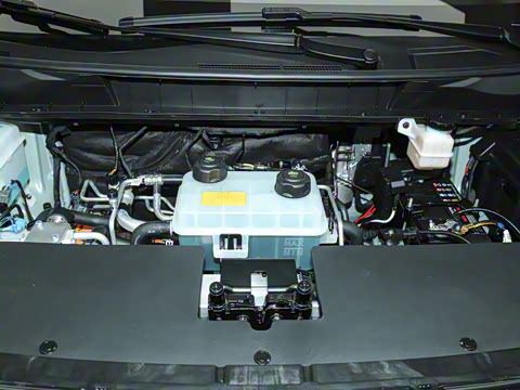 2026�� ��ƽ�� ������������