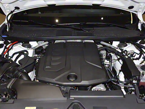 2026�� 2.0T �˶��� quattro