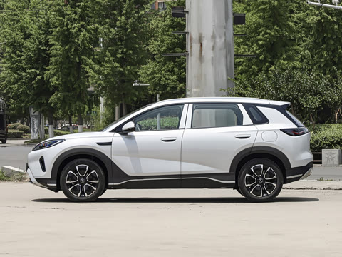 2026�� DM-i 305�캽��