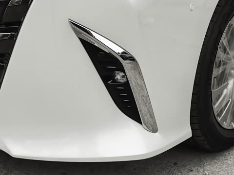 2025�� ˫�� 2.5L �����ƽ��