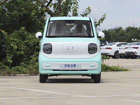 2026�� 222km ��ҫ��