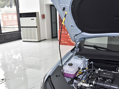 2026�� DM-i 210KM��ȡ��