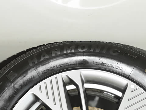 2025�� 565km �����